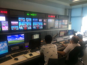 传媒系学生杨雪斩获《挑战亚布力》外景主持总决赛六强，八月参与节目录制